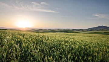 Agrarwetter von BASF Agricultural Solutions Deutschland.
